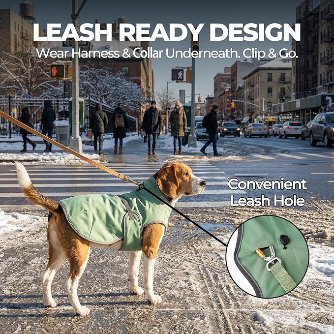Dog Winter Vest with Fur-Safe Buckle (No Hook & Loop), Water-Repellent Fleece Lined Jacket, 360° Reflective, Leash Hole & Leg Straps, Adjustable for Hiking & Active Dogs (Green, Large)