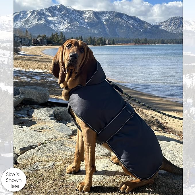 PetRageous 7303CGS Juneau Waterproof Cold Weather Dog Coat with Full Chest Coverage Leash Opening 11-Inch Long Heavyweight Jacket for Small Breeds and Puppies, Charcoal Grey
