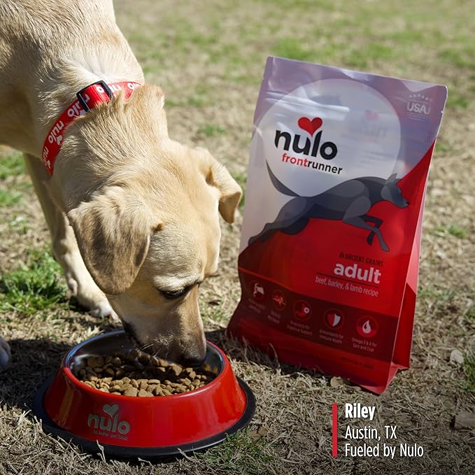 Nulo Frontrunner Dry Dog Food - Adult High-Protein Beef, Barley & Lamb Recipe, Natural Kibble with Ancient Grains, Probiotics, Taurine, Omega 3 for Small, Medium and Large Breeds, 5lb Bag