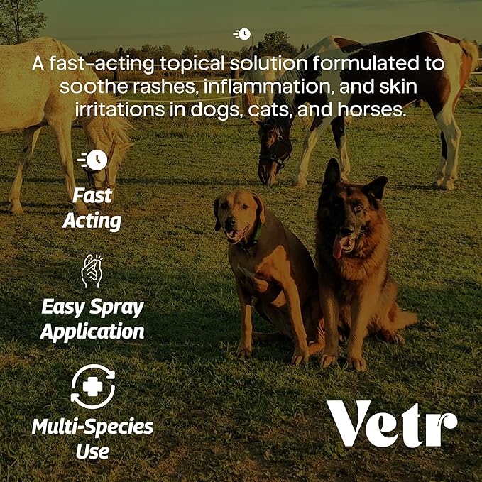 vetr Skin Relief Hydrocortisone Spray for Dogs - Topical Support for Itchy Skin and Hot Spots - 4 oz (120mL) - Vet-Formulated in USA