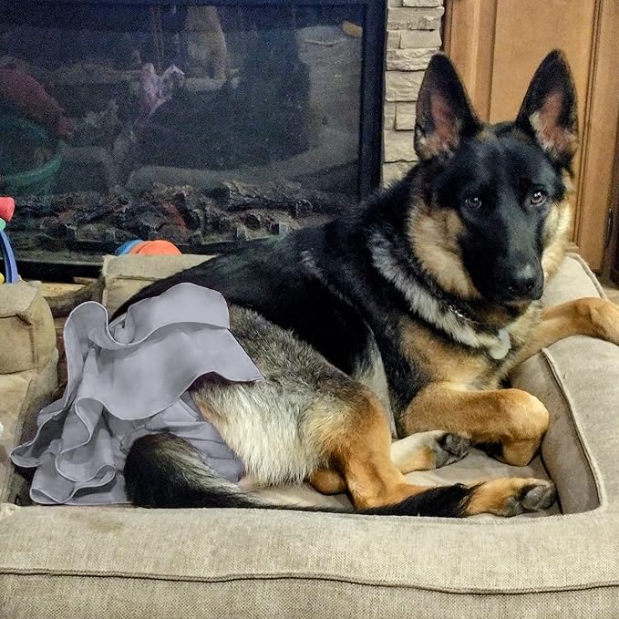 wegreeco Dog Diapers Female (3 Pack), Highly Absorbent Dog Diapers for Female Dogs Washable in Heat, Incontinence, or Excitable Urination (X-Large)