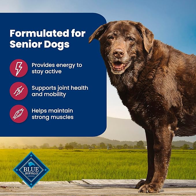 Blue Buffalo Life Protection Formula with LifeSource Bits, Senior 7+ Dry Dog Food, Salmon and Brown Rice Recipe, Chicken Free Formula, 15 lb. Bag