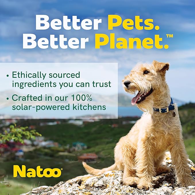 NATOO Natural Dog Biscuits for Small Dogs – Grain-Free Peanut Butter Treats with Collagen, Prebiotics, Fiber & Omega 6 – Support Digestion, Skin, Coat, Joints & Immunity – Allergy-Friendly, 8 oz