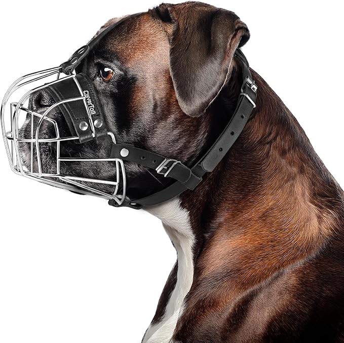 Metal Muzzle for Boxer Dog Breed – Bite Proof Boxer Muzzle for Medium and Large Sized Dogs – Steel Wire Basket Muzzles for Dogs English Bulldog, American Bulldog etc.