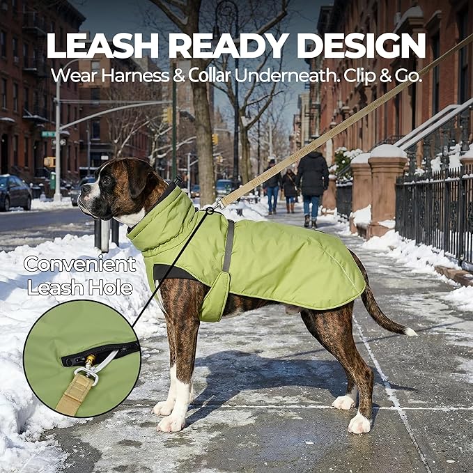 Dog Winter Coat, Warm Puffer Jacket with Fur-Safe Buckle & Leash Hole for Cold Weather, Water-Repellent Snow Vest, Breathable Thermal Apparel for Hiking & Active Dogs (Green, Medium)