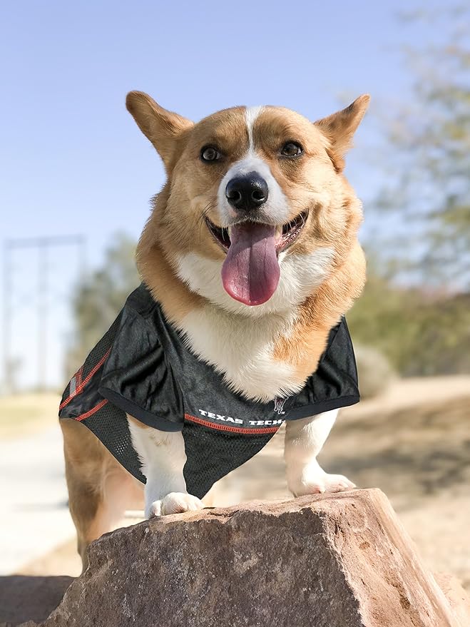 Pets First NCAA College Texas Tech Red Raiders Mesh Jersey for DOGS & CATS, X-Small.Licensed Dog Jersey with your Favorite Football/Basketball College Team