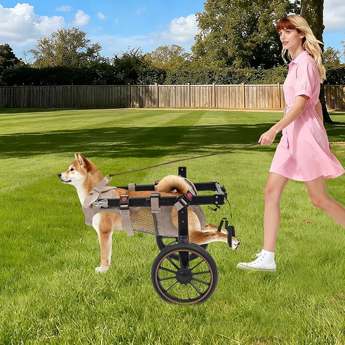 Pet Rehabilitation Walking Aid for Large Dogs, Adjustable 2-Wheel Dog Wheelchair for Back Legs with Breathable Mesh Harness for Senior Disabled Dogs Recovery Support