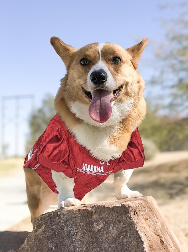 Pets First NCAA College Alabama Crimson Tide Mesh Jersey for DOGS & CATS, X-Large. Licensed Dog Jersey with your Favorite Football/Basketball College Team