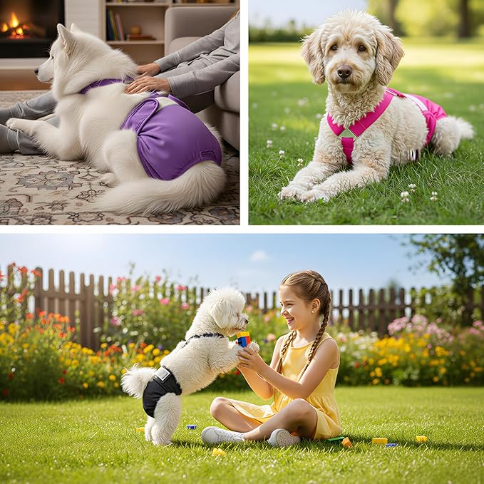 Washable Female Dog Diaper with Suspender - 3 Pack Reusable Super Absorbent & Leakproof Fixed Doggie Diapers for Dogs in Heat Cycle
