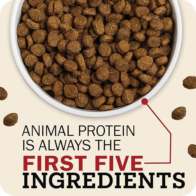 Redbarn Whole Grain Adult Dry Dog Food Kibble - Land Beef Recipe - Made in USA No Chicken Recipe with Functional Ingredients to Support Healthy Heart, Skin, Coat, Immunity & Digestion - 22lb