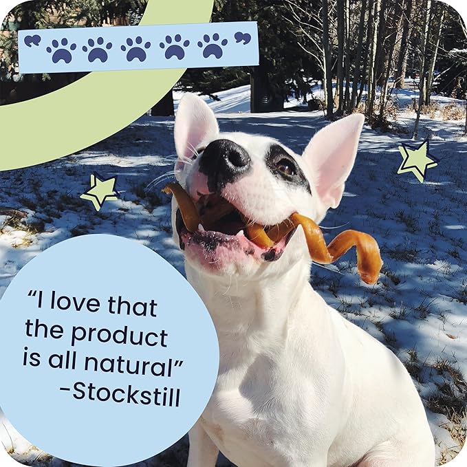 Pawstruck All-Natural 6" Bully Stick Springs for Dogs - Fun, Challenging, Rawhide-Free, 100% Beef, Single Ingredient Chew Bones - Fully Digestible, Low Odor - 10 Pack - Packaging May Vary