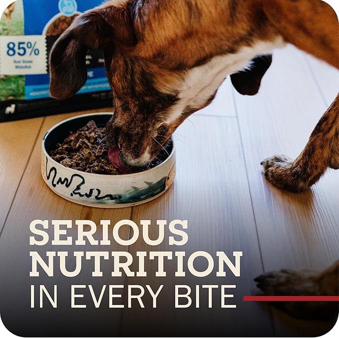 Redbarn Powerfood Air Dried Dog Food for Skin & Coat Health - 93% Lamb, Fish, & Lamb Organs with Omega-3s & 6s - Non-GMO Dry Full Feed or Topper Made in USA - 2lb