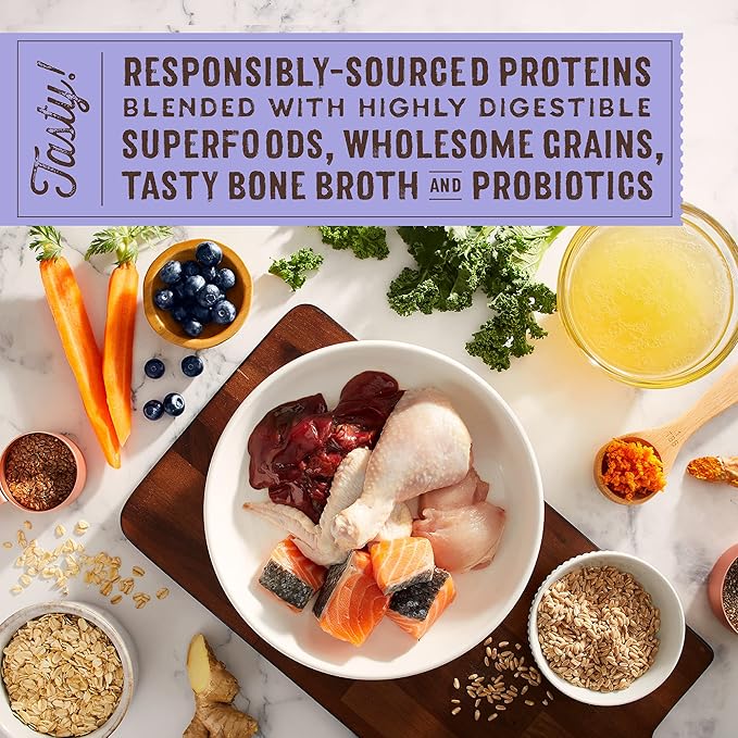 Stella & Chewy's SuperBlends Raw Blend Wholesome Grains Puppy Cage-Free Chicken & Wild Caught Salmon Recipe with Superfoods, 21 lb. Bag