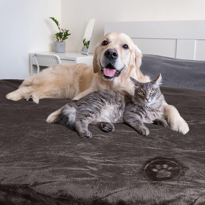PETMAKER Dog Blanket - 60x70in Reversible Sherpa Blanket - Throw Blankets for Bed, Couch, or Car - Machine Washable Puppy Essentials (Charcoal)