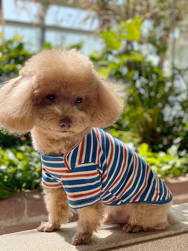 Dog Shirts Cotton Striped T-Shirt, Summer Pet Clothes for Small Dogs, 2-Pack Soft Puppy Apparel Cat Tee, Breathable Stretchy, Blue Yellow XXL