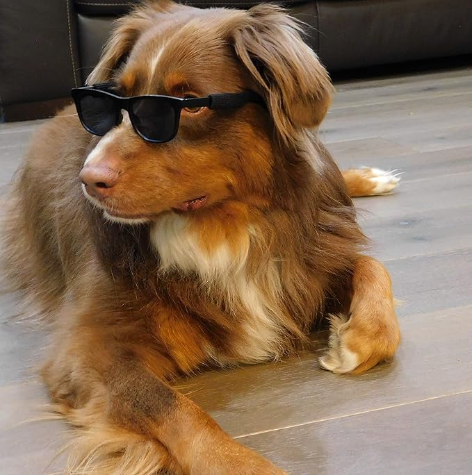 G006 Dog Pet 80s Costume Sunglasses Prop Photoshoot Medium Breeds 20-40 lbs (2-Pack Black+ Matte Black)