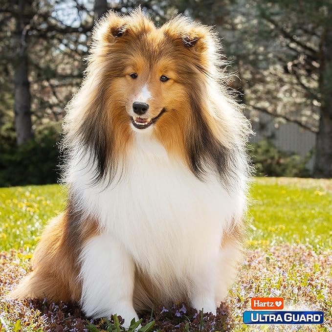 Hartz UltraGuard Pro Flea & Tick Topical Dogs & Puppies Treatment & Prevention, 6 Months, 5-14 lbs