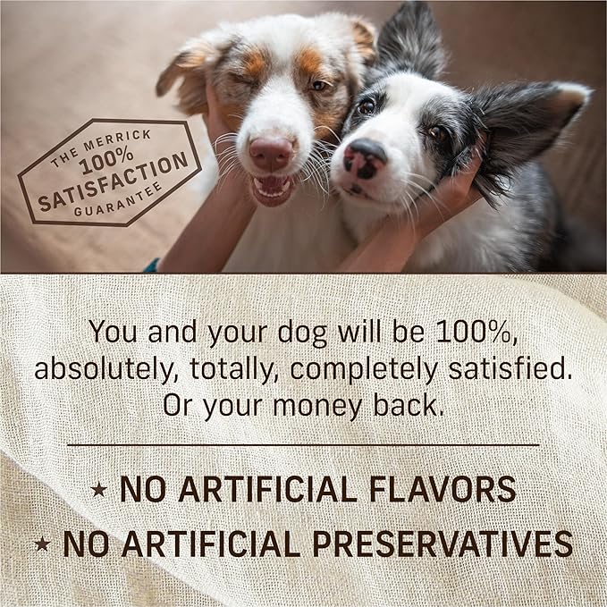 Merrick Grain Free Wet Puppy Food, Premium Soft And Gluten Free Canned Dog Food, Puppy Plate Chicken Recipe - (Pack of 12) 12.7 oz. Cans