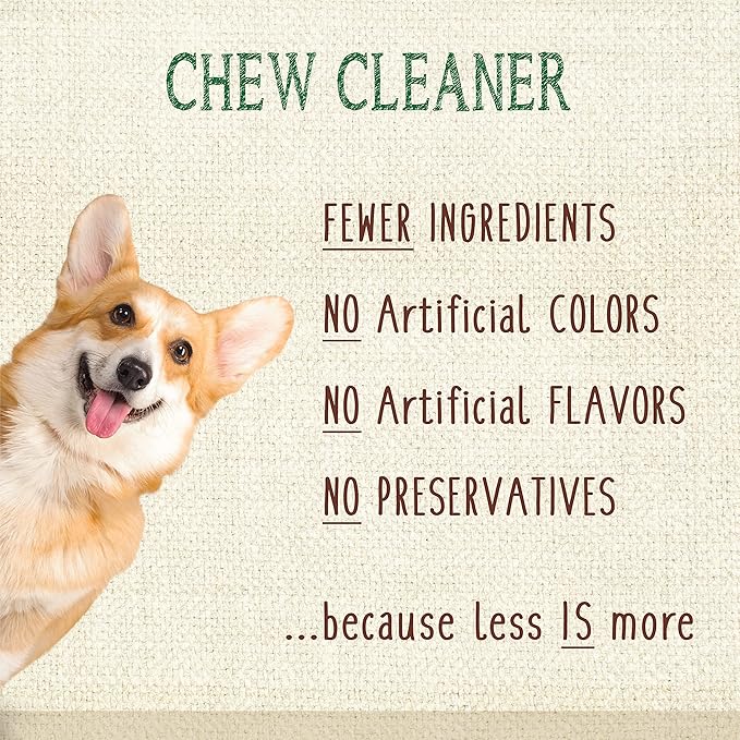 Nylabone Nutri Dent Dog Dental Chews - Natural Dog Teeth Cleaning & Breath Freshener - Dental Treats for Dogs - Filet Mignon Flavor, Medium (20 Count)