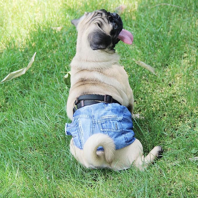 Wegreeco Jeans Washable Male Dog Diapers (Pack of 3) - Washable Male Dog Belly Wrap (Medium)