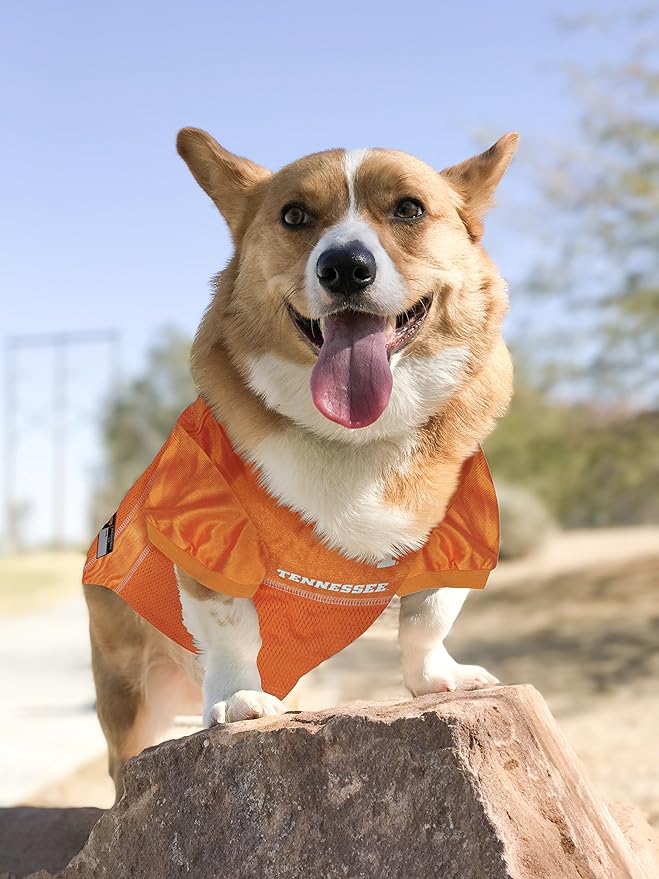 Pets First NCAA College Tennessee Volunteers Mesh Jersey for DOGS & CATS, X-Large. Licensed Dog Jersey with your Favorite Football/Basketball College Team