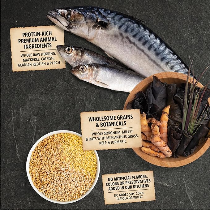 ACANA Wholesome Grains Dry Dog Food Sea to Stream Saltwater Fish Recipe 22.5lb Bag