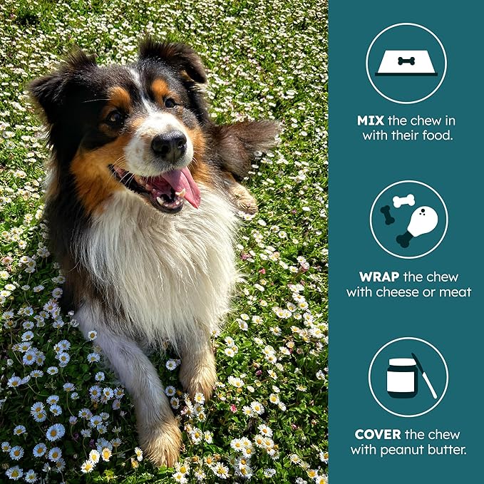 PetHeal Aging Aid Chews for Senior Dogs - Vet-Reviewed - Supports Joints, Energy & Vision with Hemp, DHA, Blueberry & Spinach | Fights Inflammation & Promotes Vitality | 30 Pork-Flavored Soft Chews