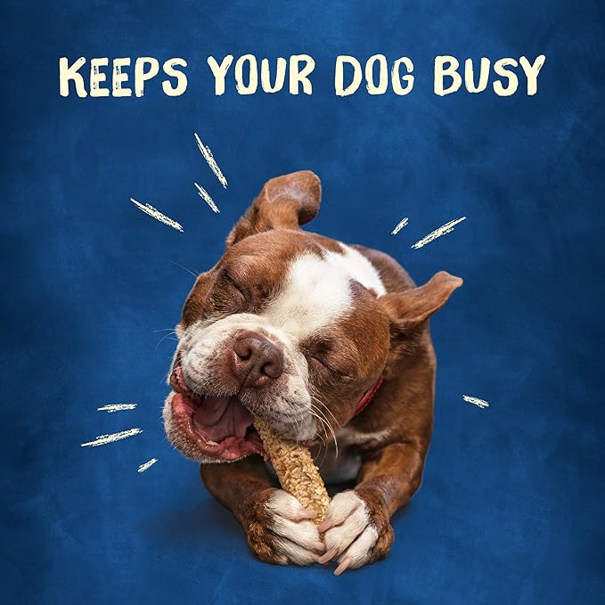 Purina Busy Rawhide Small/Medium Breed Dog Bones, Chewnola with Oats & Brown Rice - 10 ct. Pouch