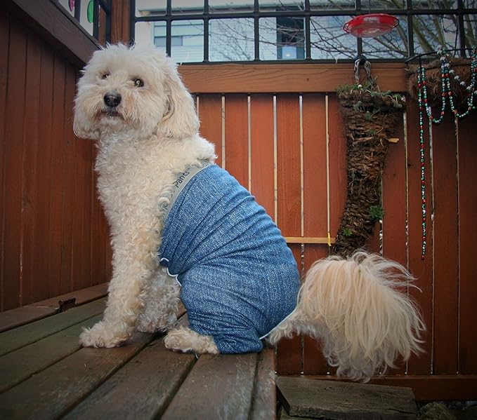Original Dog Pants, E-Collar Alternative, Dog Pajamas, Dog Diaper X-Small Dog, Blue