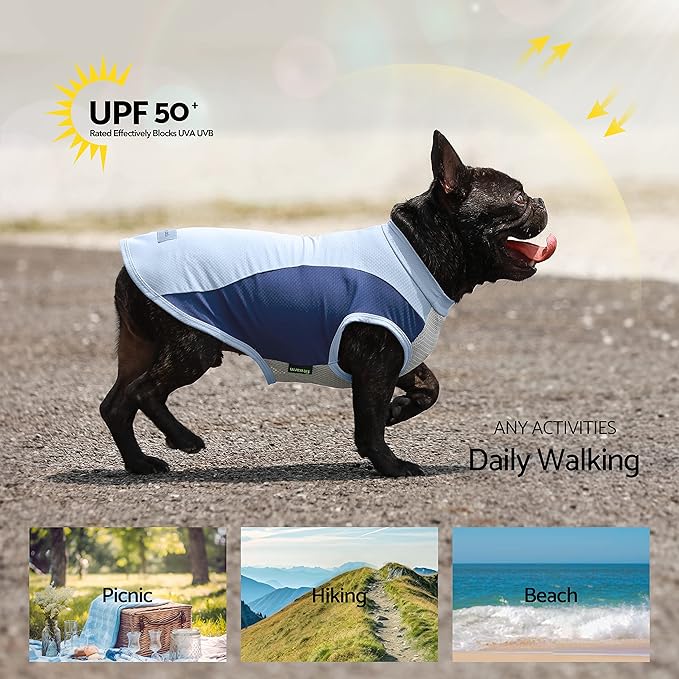 Fitwarm 2 Pack UPF 50+ UV Sun Protection Dog Shirt, Quick Dry Summer Dog Clothes for Small Dogs Boy Girl, Reflective Label, Lightweight Breathable Cooling Vest, Pet Cat Outfit, Orange, Blue, Medium