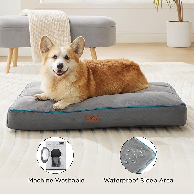 Bedsure Washable Dog Bed Medium Size Dog - 3 Inch Thicken Up to 45lbs Pet Mat Pillows with Removable Washable Cover, Green
