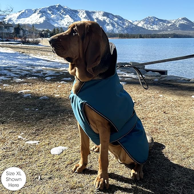 PetRageous 7303TXXL Juneau Waterproof Cold Weather Dog Coat with Full Chest Coverage Leash Opening - 28-Inch Long Heavyweight Jacket for XX-Large Breeds, Teal