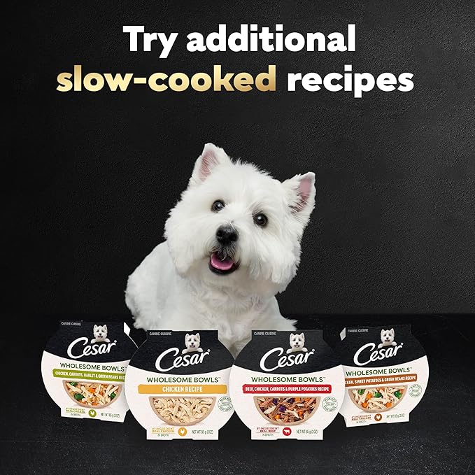 Cesar Wholesome Bowls Adult Wet Dog Food, Chicken, Sweet Potato & Green Beans Recipe, Wet Food for Dogs, 3 Oz. Bowls, 10 Count