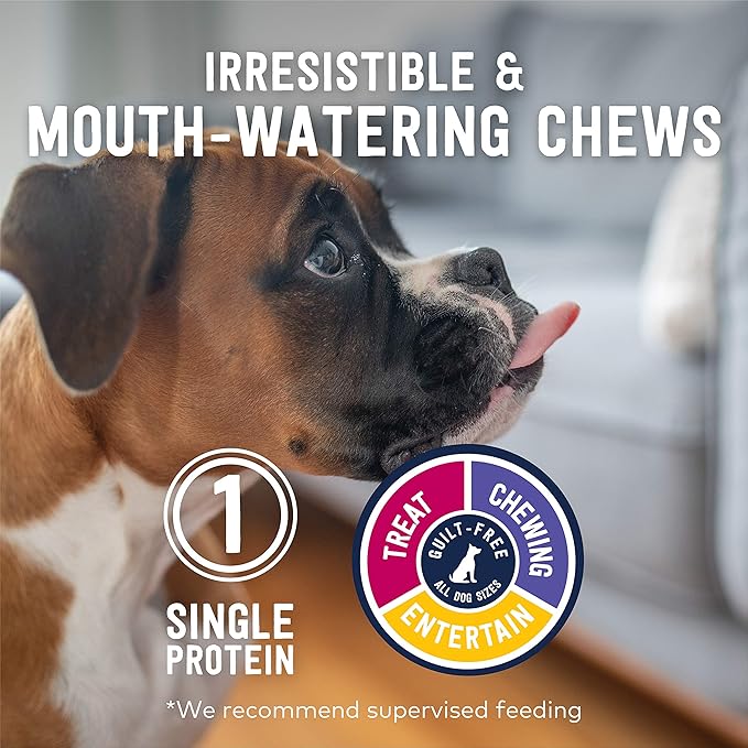 ZIWI Dog Chews and Treats – Lamb Ears - All Natural, Air-Dried, Single Protein, Grain-Free, High-Value Treat, Snack, Reward 2.1 Ounce (Pack of 1)