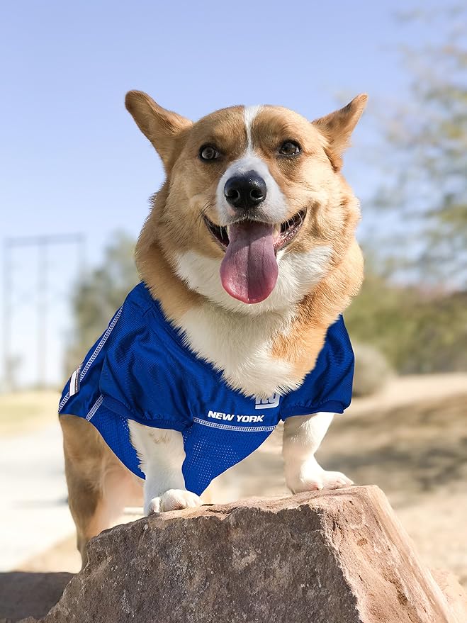 NFL New York Giants Dog Jersey, Size: Small. Best Football Jersey Costume for Dogs & Cats. Licensed Jersey Shirt
