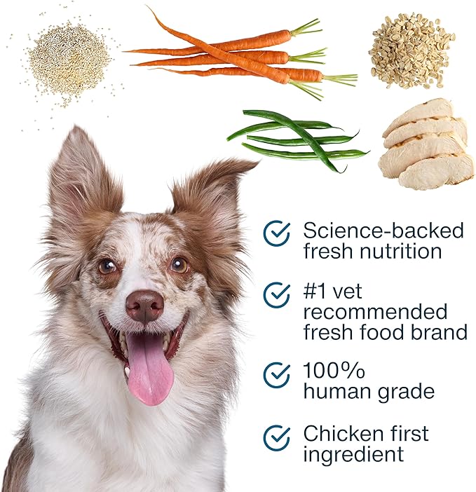 JustFoodForDogs JustFresh Boost Sensitive Skin Dog Food Topper for Immune Support and Healthy Coat, Human-Grade Fresh Pet Meal Booster, 8 oz Pouches - 8 Pack