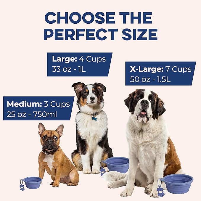 Bonza Collapsible Dog Bowls - Medium 25 oz, Dog Travel Accessories, Silicone Portable Dogs Bowl & Water Dish with Reinforced Rim & Carabiner for Hiking, Camping, and Car Trips, Light Gray