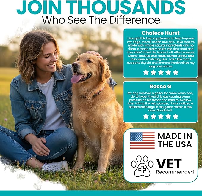Sea Kelp Powder for Dogs - Thyroid, Dental & Plaque Support, Skin & Coat - Chew + Heal Labs Iodine-Rich 4 oz Kelp Supplement, Immune Health, Natural Seaweed Meal Topper with 5cc Spoon, Made in USA