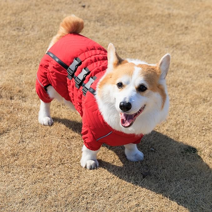 Lovelonglong Warm Dog Coat Double Layers Dog Vest, 4 Legs Covered Windproof Waterproof Reflective Warm Dog Vest Outdoor Skating Dog Costume for Corgis Dachshund Dog Red D-L