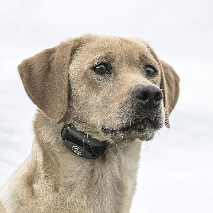 SportDOG Brand FieldTrainer 425X Remote Trainer - 500 Yard Range - Rechargeable Dog Training Collar with Static, Vibrate, and Tone - SD-425X