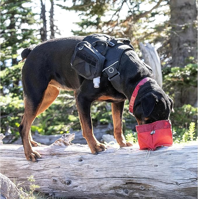 Kurgo RSG Hydration Flask - Dog Outdoor Hydration Kit - BPA Free Water Bladder - MOLLE Compatible Pouch - Portable Water Storage - Washable Dog Gear Pouch