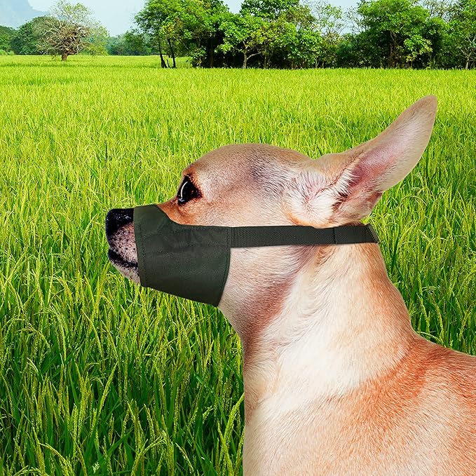 Four Paws Walk-About Quick-Fit Adjustable Dog Muzzle for XX-Small Dogs, Washable & Breathable, Black, 1 Count