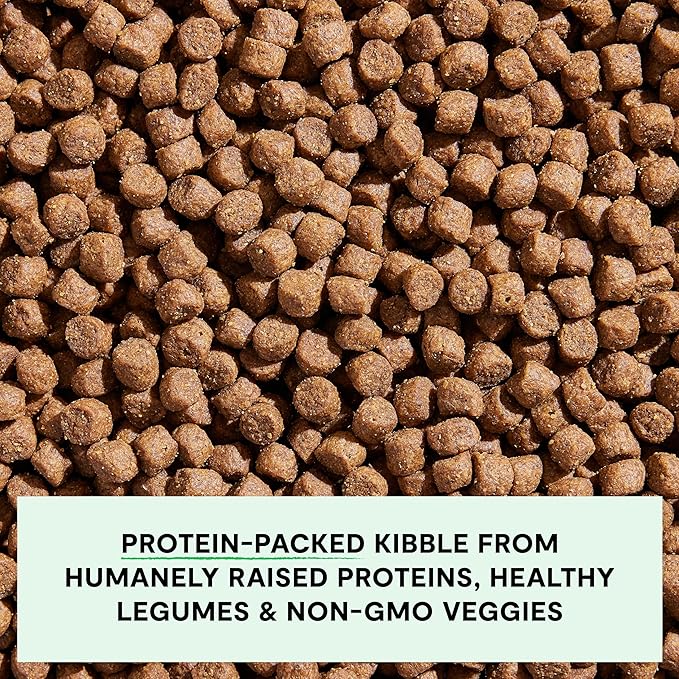 Open Farm, Grain-Free Dry Dog Food, Complete & Balanced Kibble, Sustainably & Ethically Sourced Ingredients, Non-GMO Veggies & Superfoods to Support Overall Health, Grass-Fed Beef Recipe, 4lb Bag