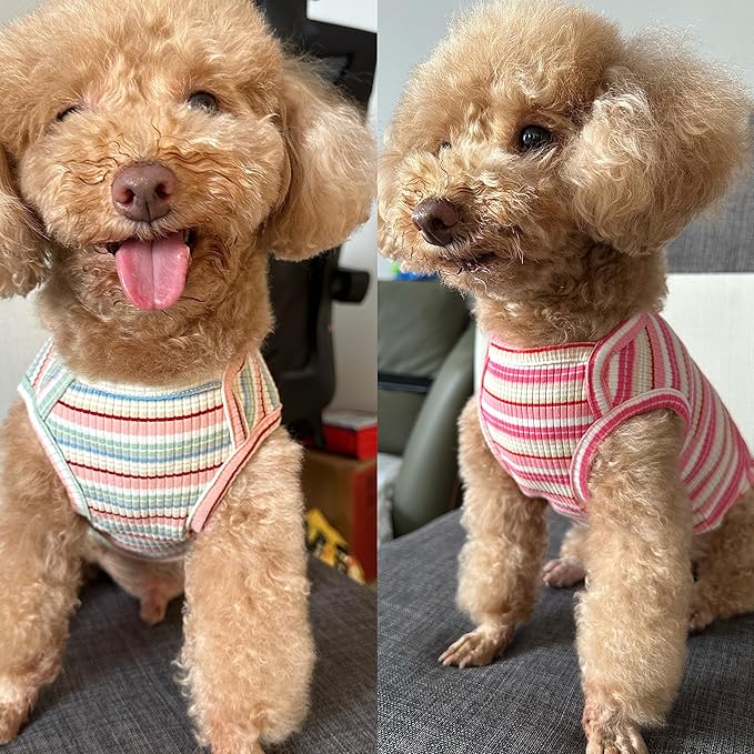 Dog Shirts Vest Cotton Striped T-Shirt, Sleeveless Stretchy Pet Clothes for Small Dogs, 2-Pack Soft Breathable Puppy Tank Top Cat Tee (XX-Large, Pink,Rose)